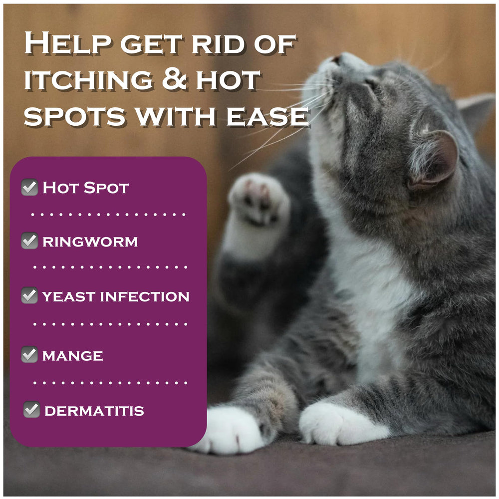 Small pets use setup showing FlexTran Feline Ring Care versatility