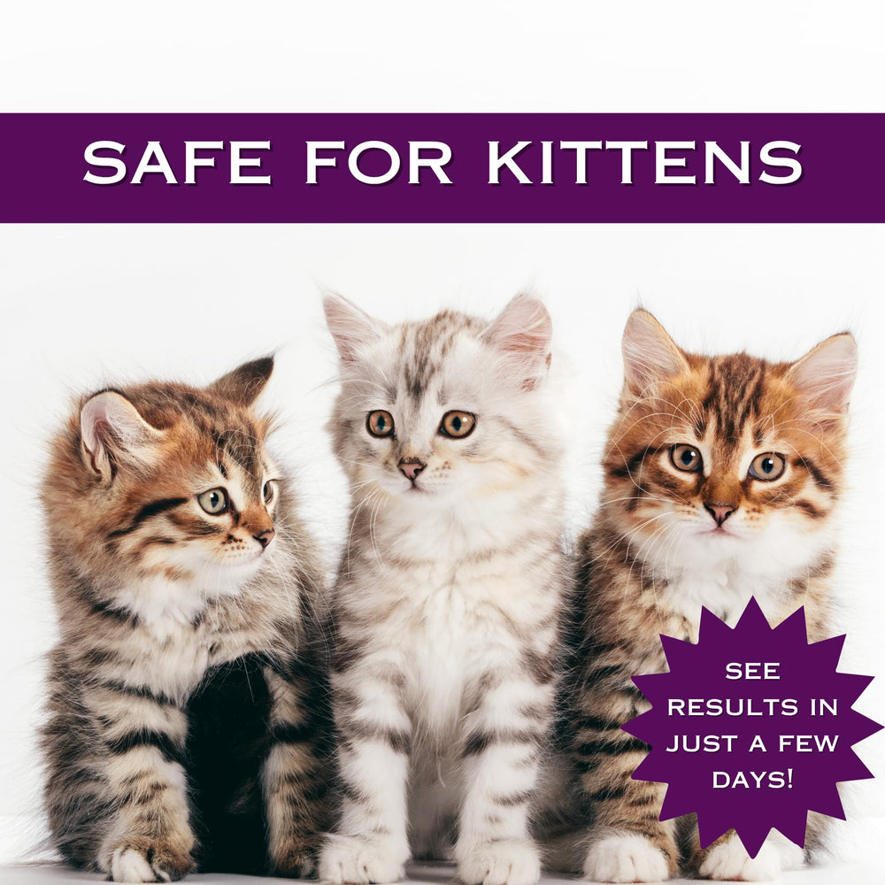 FlexTran Feline Ring Care surface protection to reduce contamination in home.