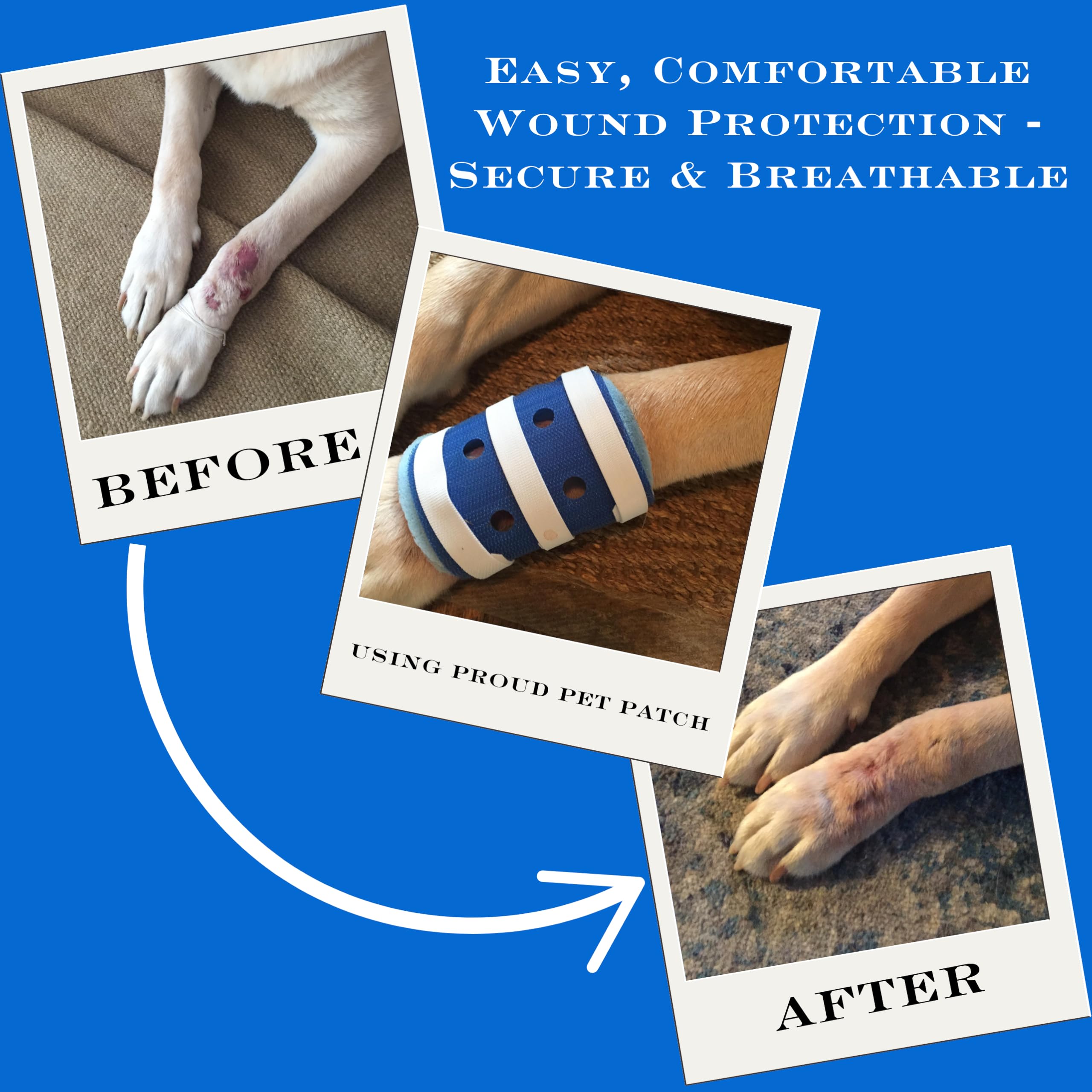 FlexTran Proud Pet Patches cat leg bandage demonstrates discreet, comfortable wound care.