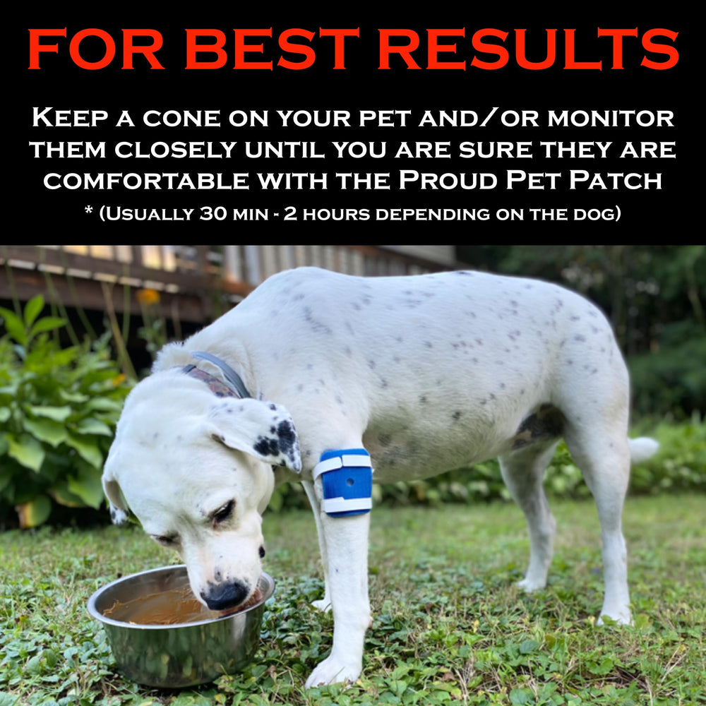 FlexTran Proud Pet Patches cone replacement option reduces bulky devices.