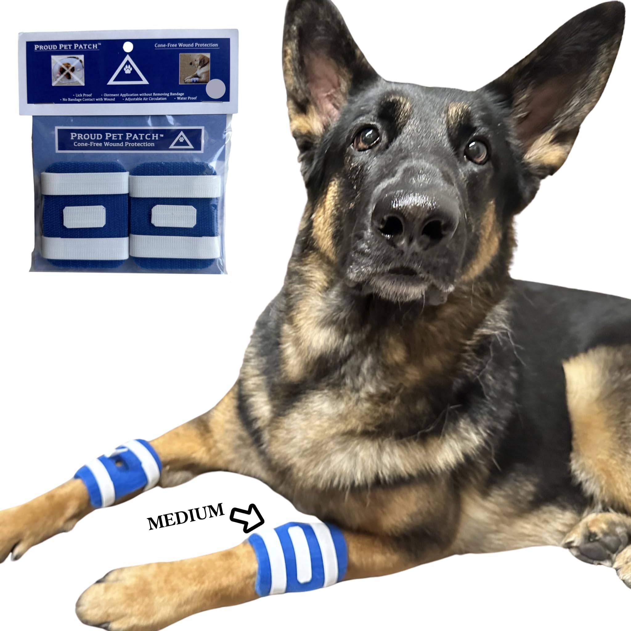FlexTran Proud Pet Patches dog paw closeup provides steady wound protection.