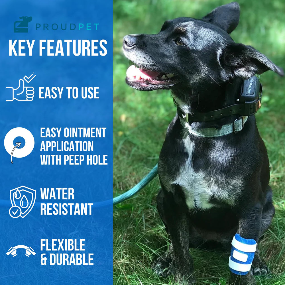 FlexTran Proud Pet Patches vent cover open demonstrates easy ointment reapplication.