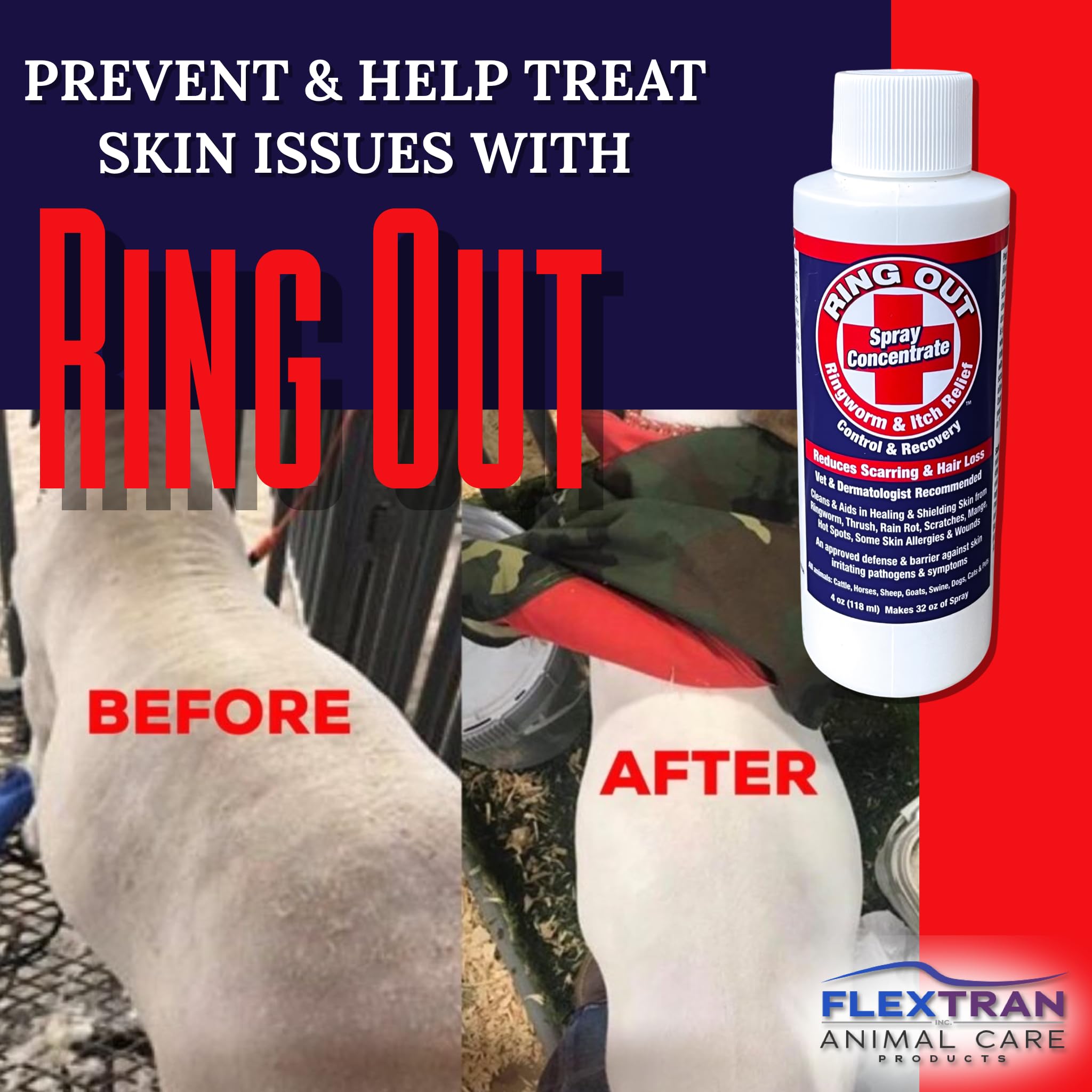 FlexTran Ring Out on a cat for topical skin comfort
