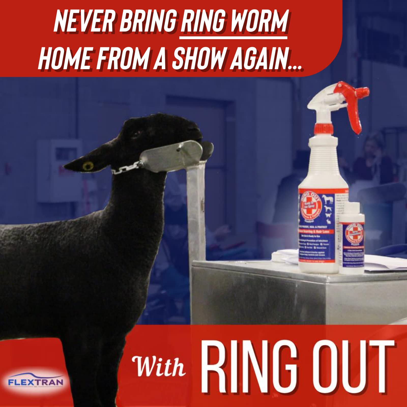 FlexTran Ring Out applied to sheep goats for skin concerns