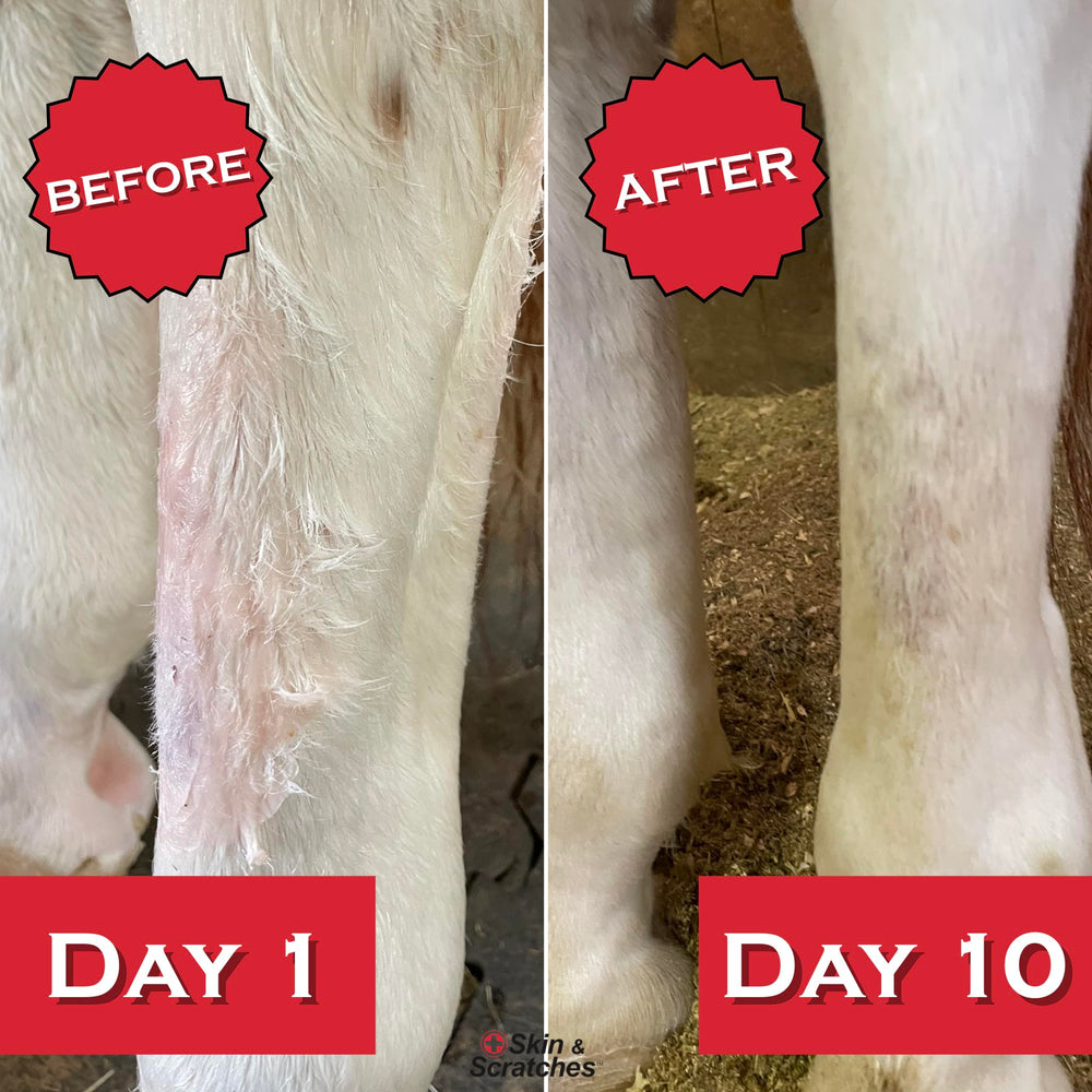 FlexTran Show Out Skin Pack under-saddle-area protection during riding.