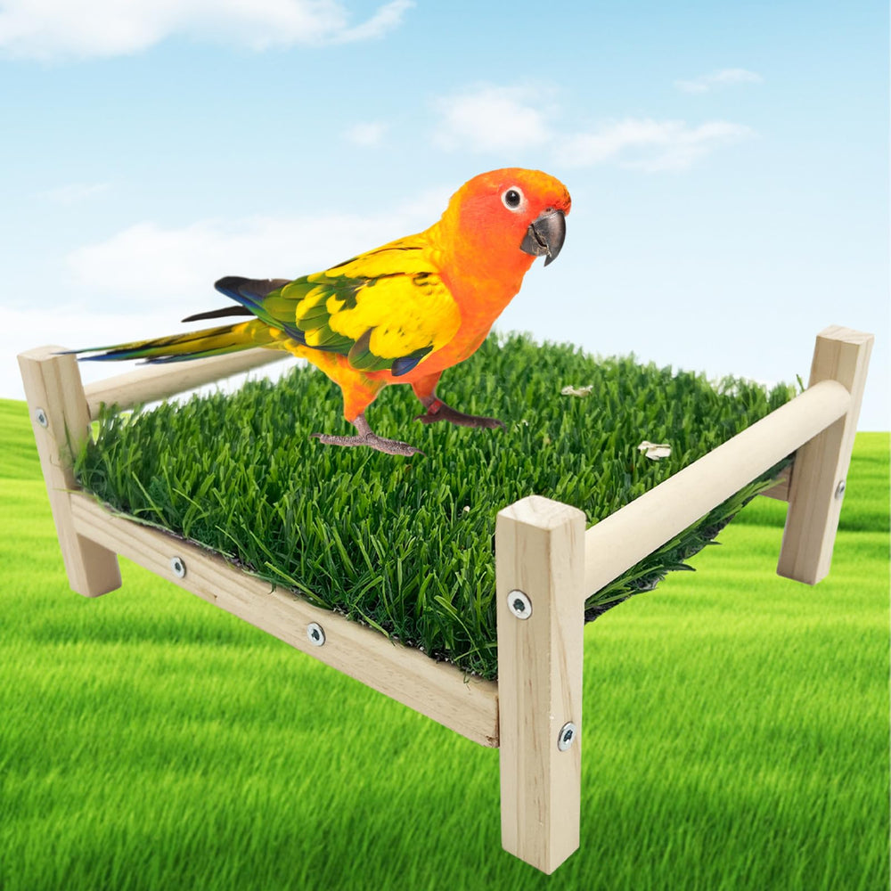 FlidRunest Bird Foraging Bed in use demonstrates bird-friendly hammock and grass mat for active foraging.