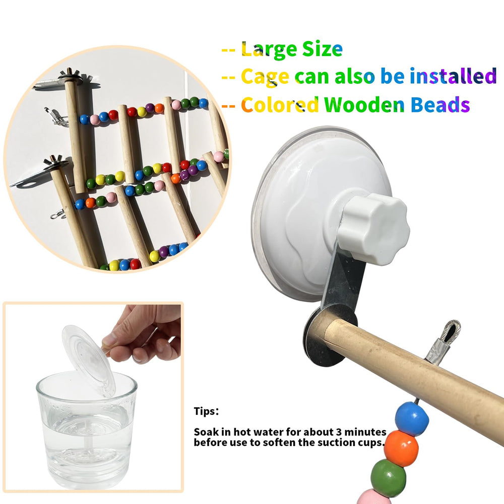 FlidRunest gift for bird lovers highlighting enrichment.