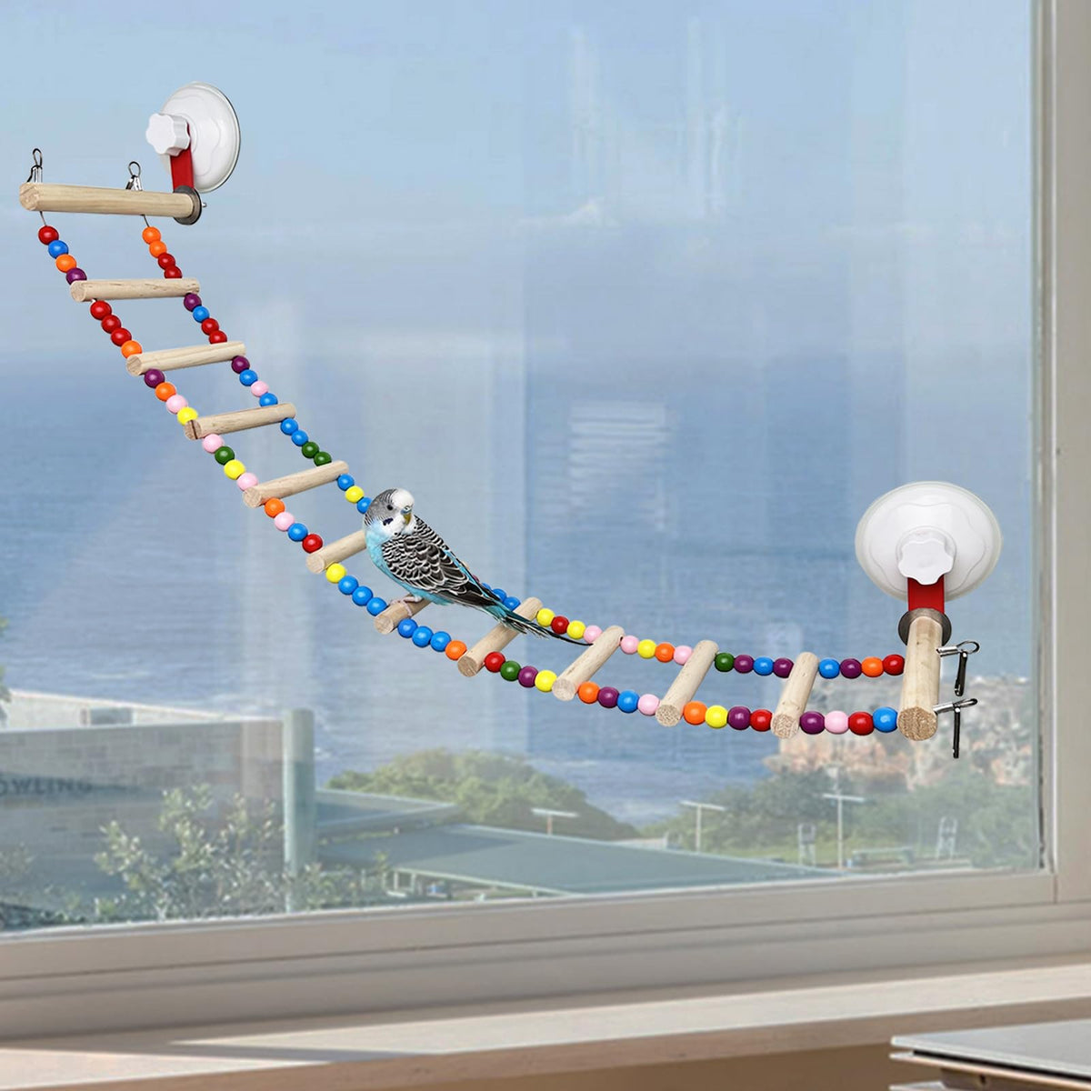 FlidRunest suction cup wooden bird perch on window for sunbathing and viewing.