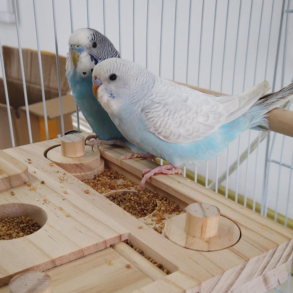 FlidRunest wooden natural hardwood material emphasizes safe, non-toxic enrichment.