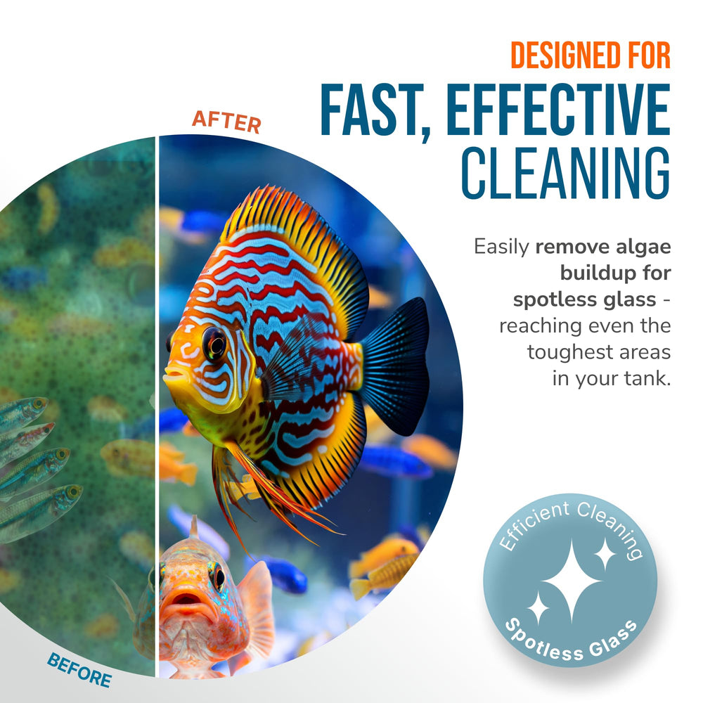 FL!PPER in-action cleaning a tank demonstrates efficient algae and debris removal.