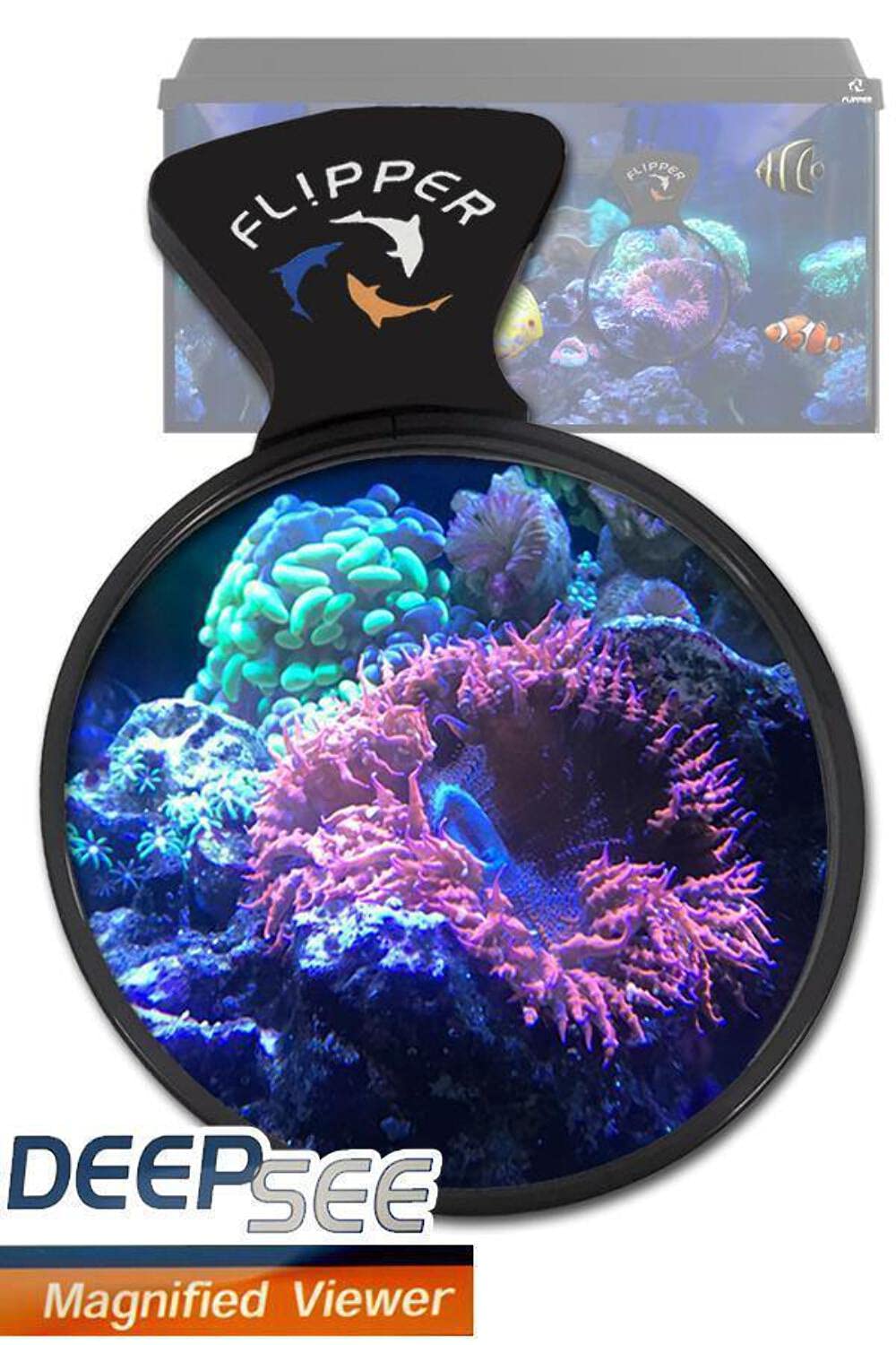 Flipper DeepSee 4-inch lens captures close-up reef detail for precise observations.
