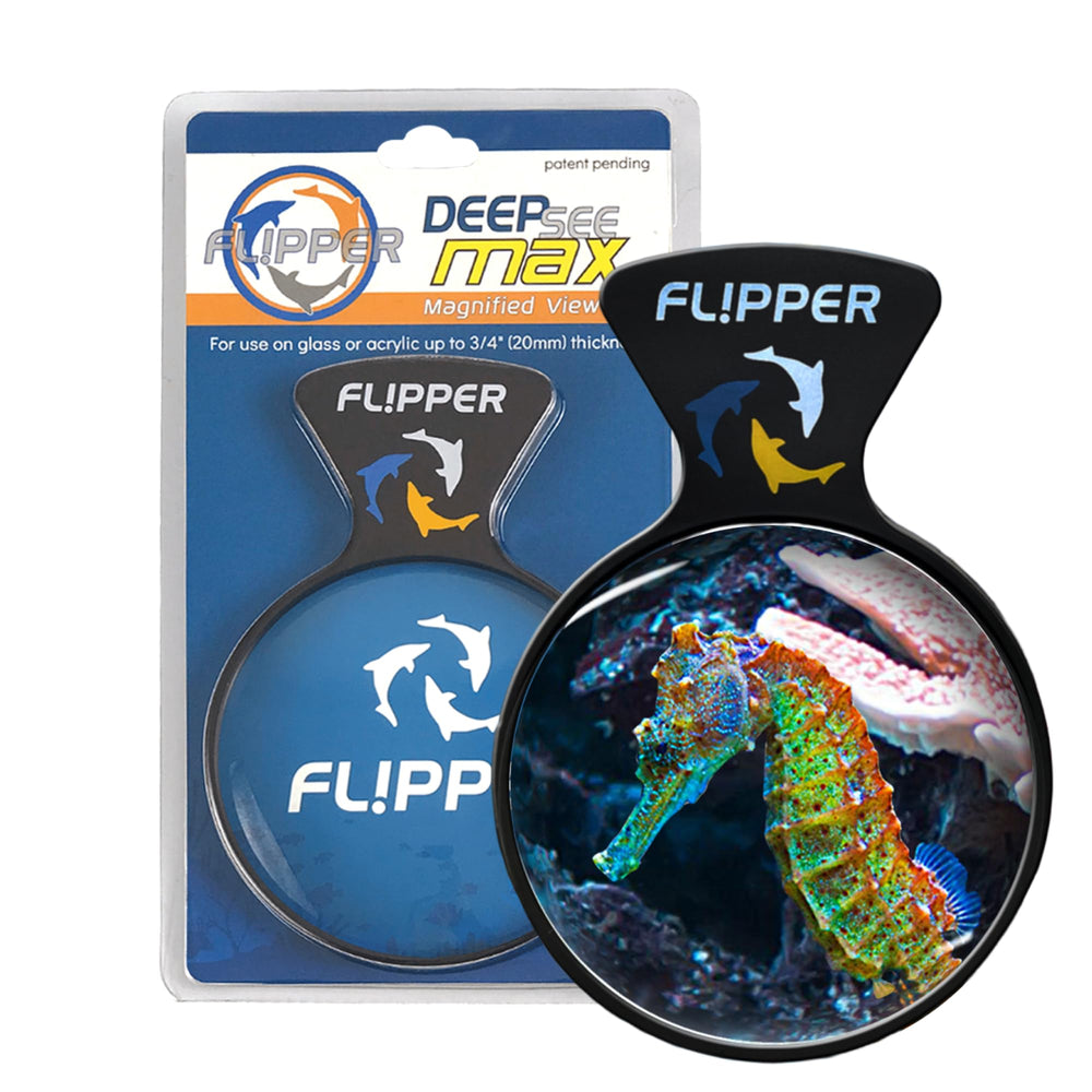 Flipper DeepSee 5-inch magnifying lens underwater view for precise coral detail close-up