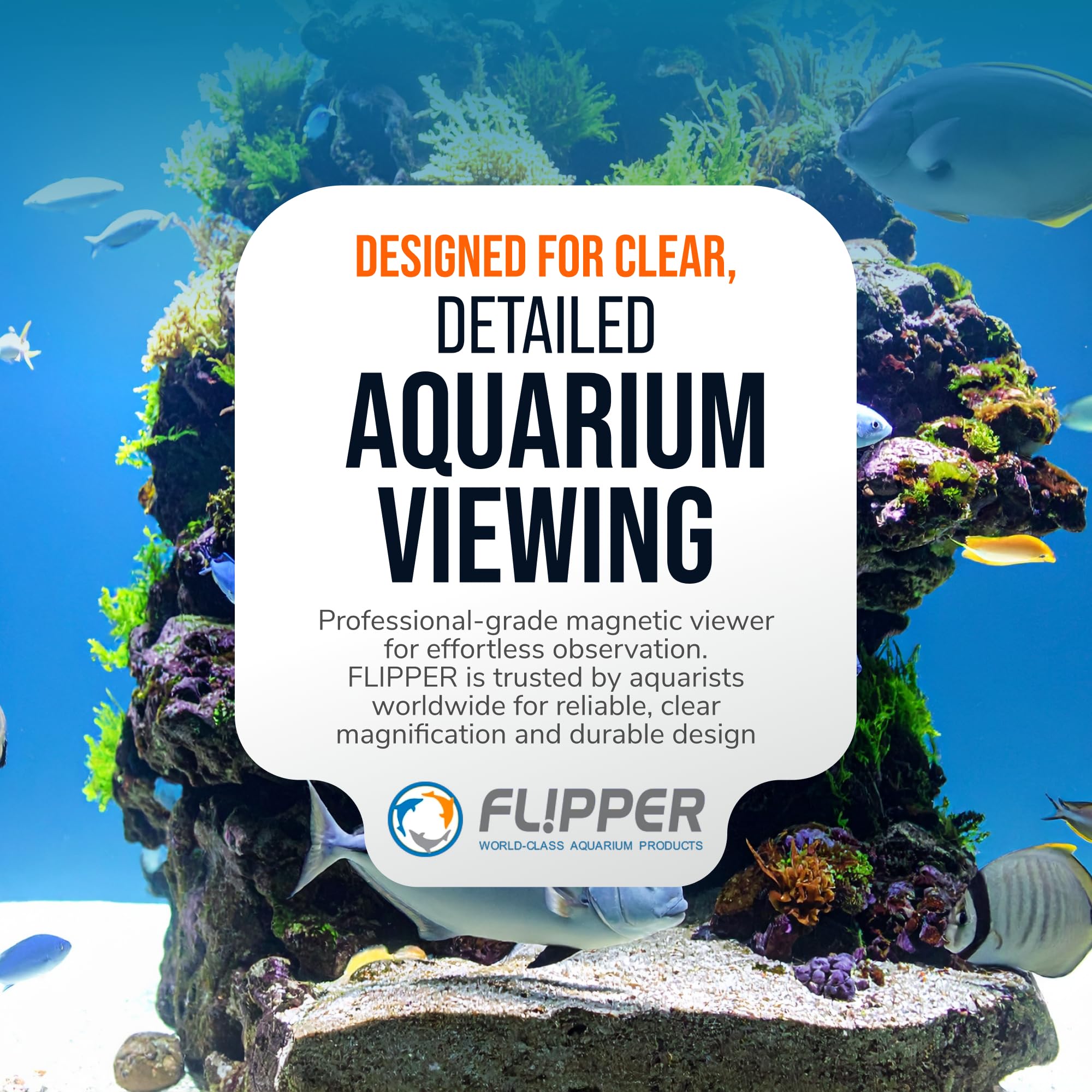 Flipper DeepSee durable acrylic lens construction for reef inspections
