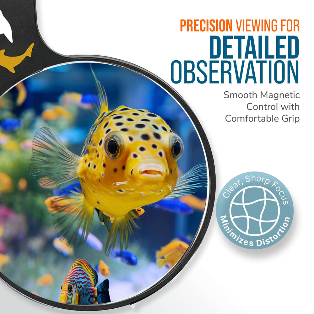 Flipper DeepSee reef health spotting through magnified observation