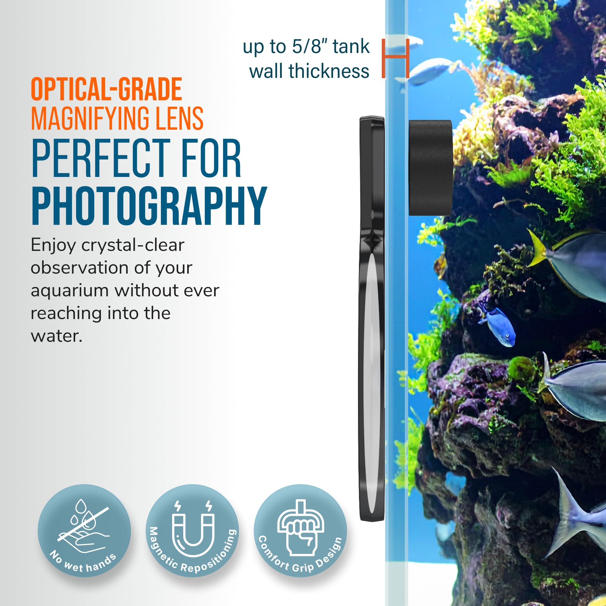 Flipper DeepSee underwater aquarium photography with magnifier framing