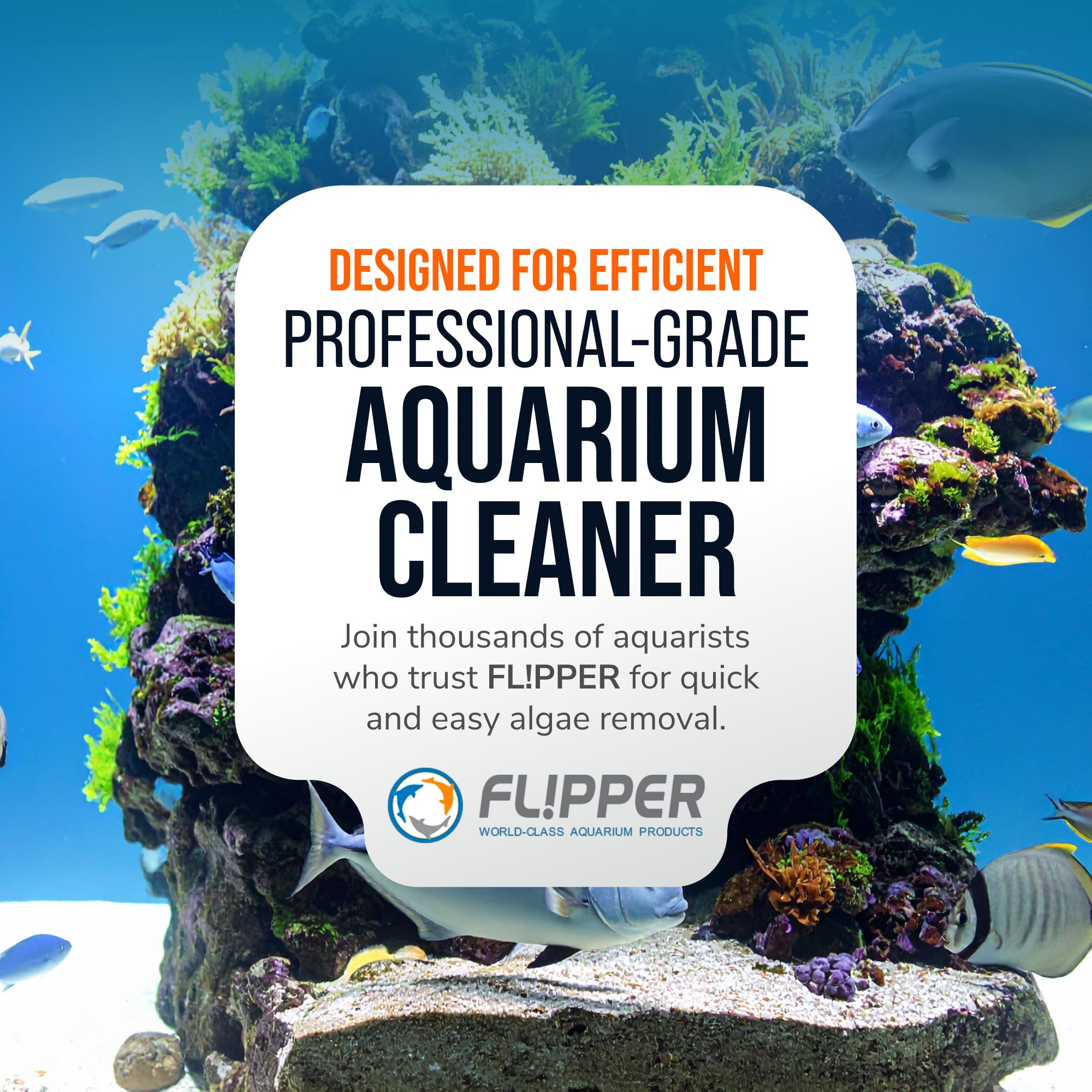 FL!PPER Edge Max black aquarium cleaner ready for weekly tank upkeep.