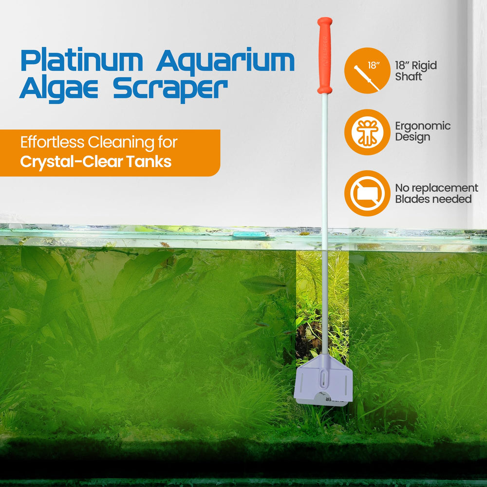 FL!PPER Flipper Platinum serrated blade for efficient algae removal