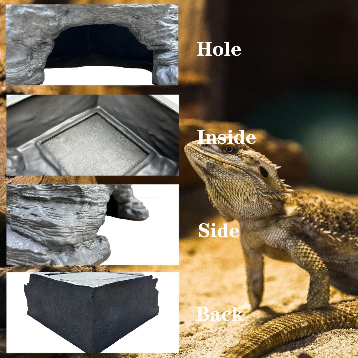 Flitsvuur resin textured corners provide safe exploration for curious reptiles