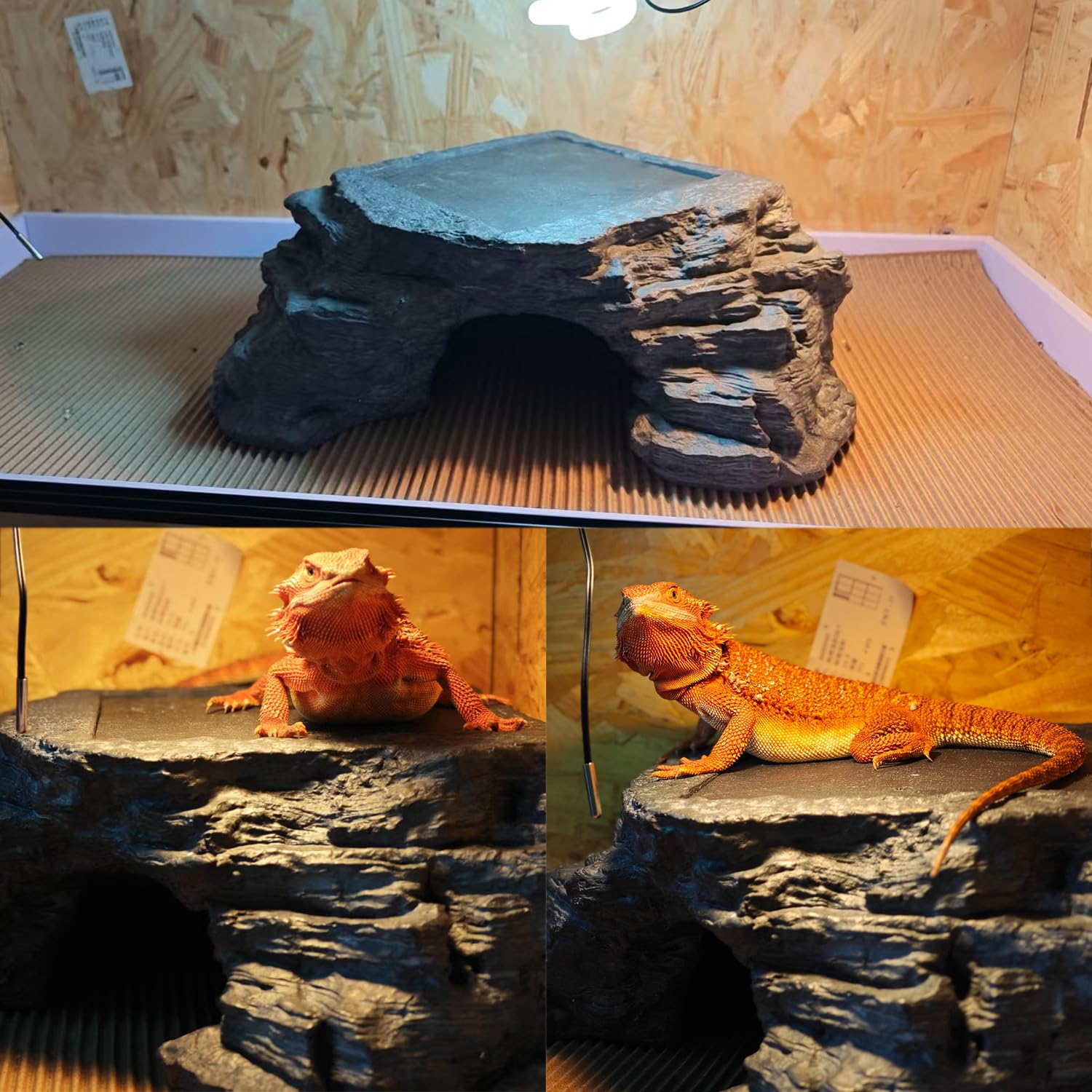 Flitsvuur snakes turtles on platform showcases versatile habitat option
