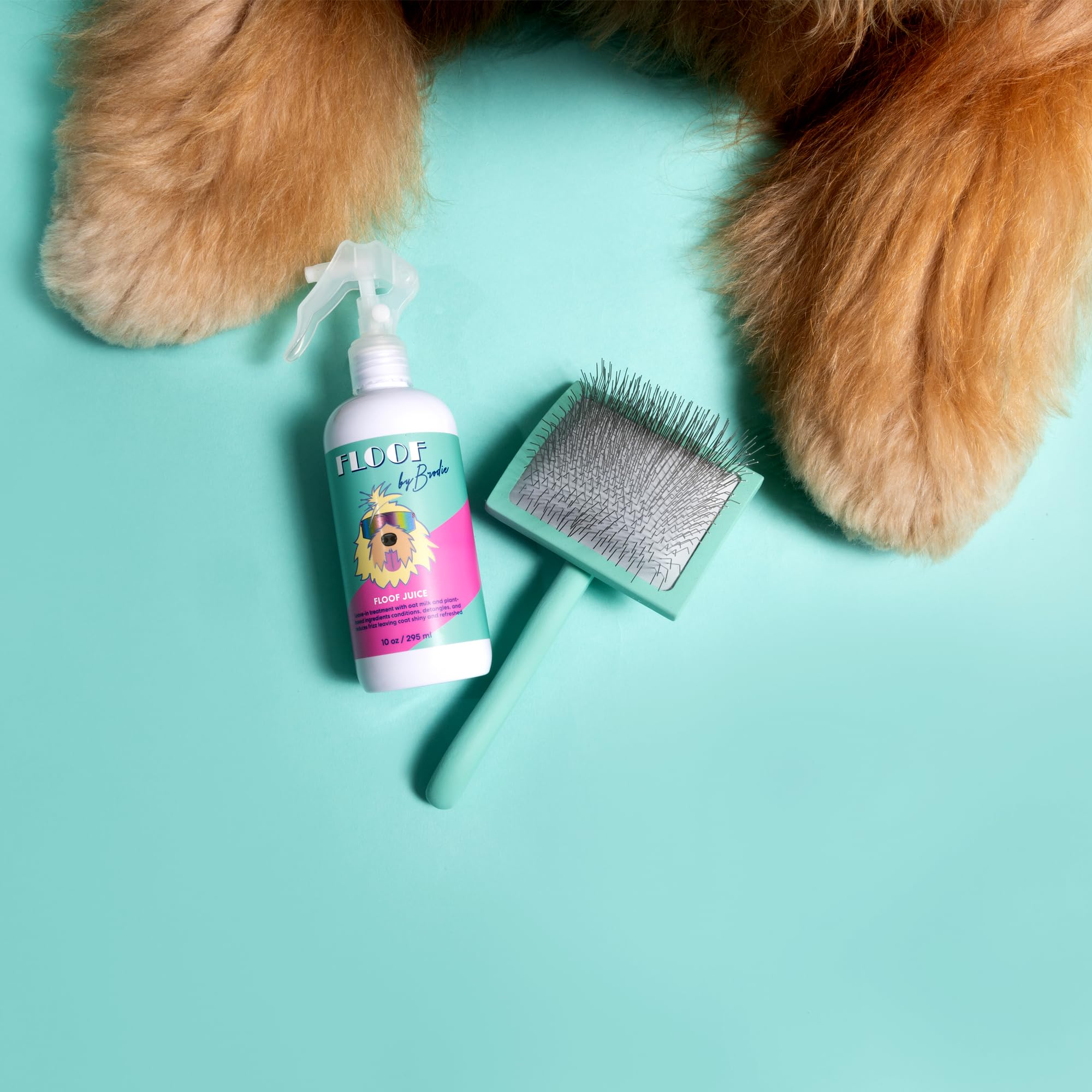 Floof by Brodie slicker brush-deshedding-session photo shows reduced household hair.