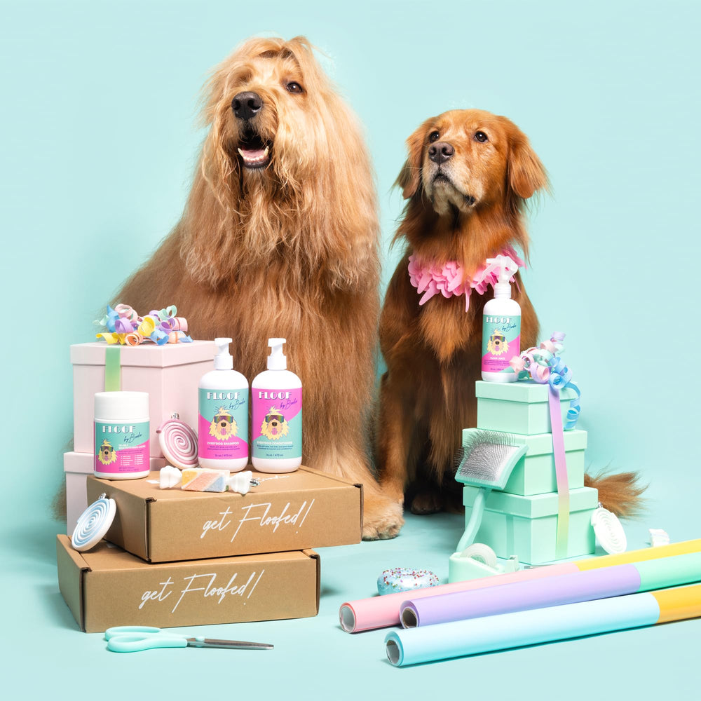 Floof by Brodie brush-packaging shot highlights ready-to-use setup.