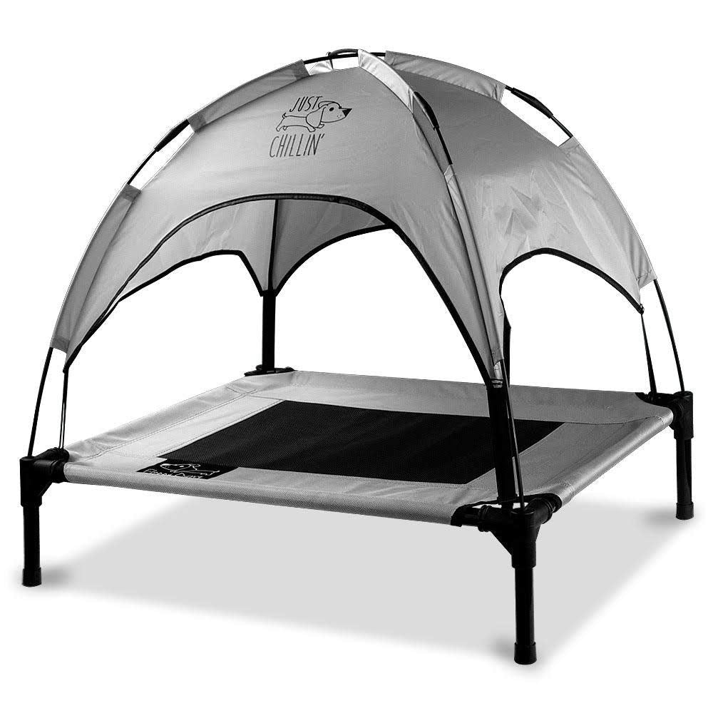 Floppy Dawg indoors or outdoors, built for versatility