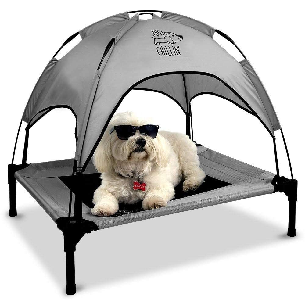 Floppy Dawg Just Chillin elevated bed setup shows easy assembly and portability