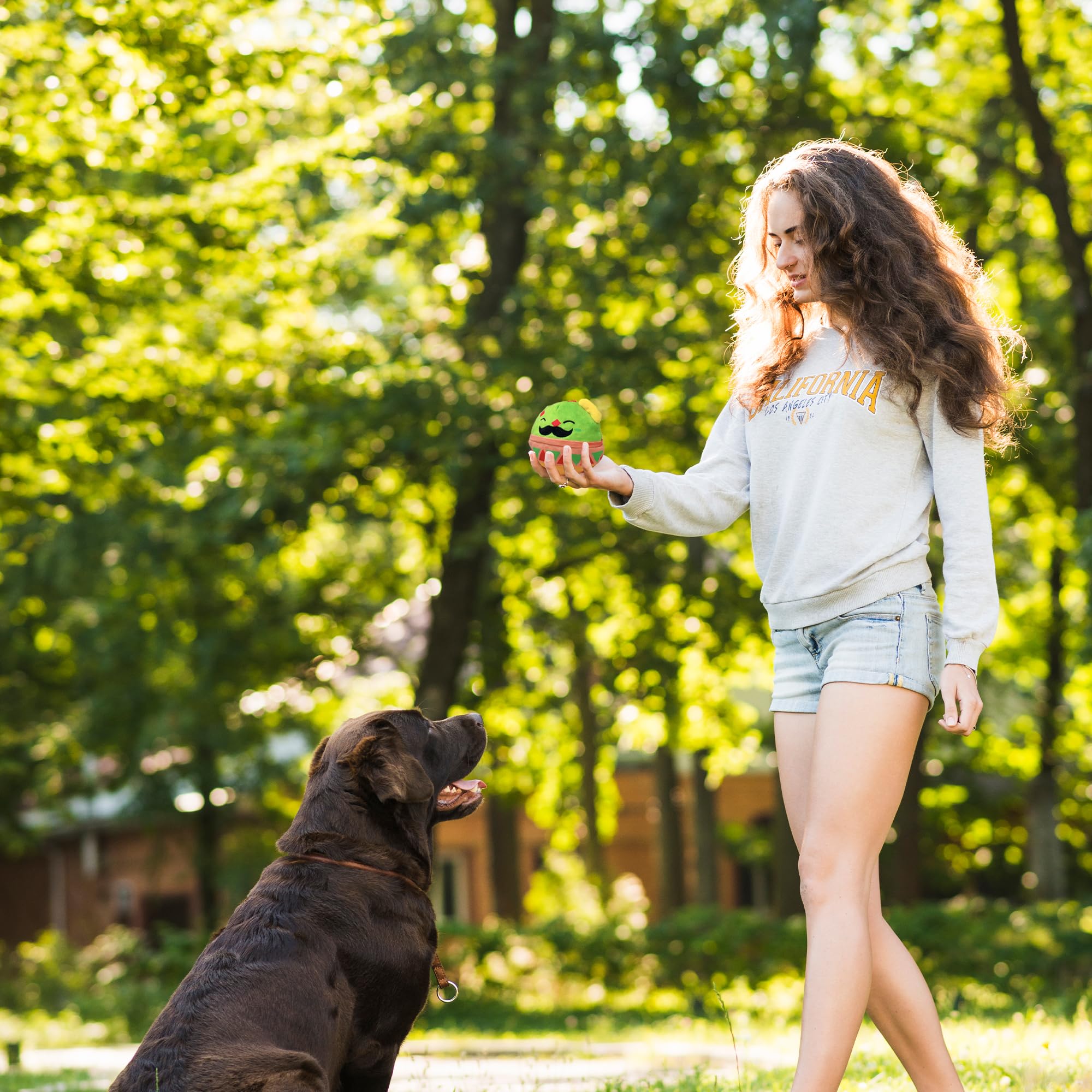 Flourish Pets BPA-free materials indicating safe chewing sessions for dogs.