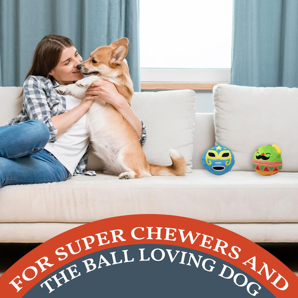 Flourish Pets easy-clean dog toy ready for machine wash or quick wipe-down.