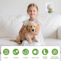 Flovintrek diffuser plugged into outlet illustrating quick setup for calmer dogs.