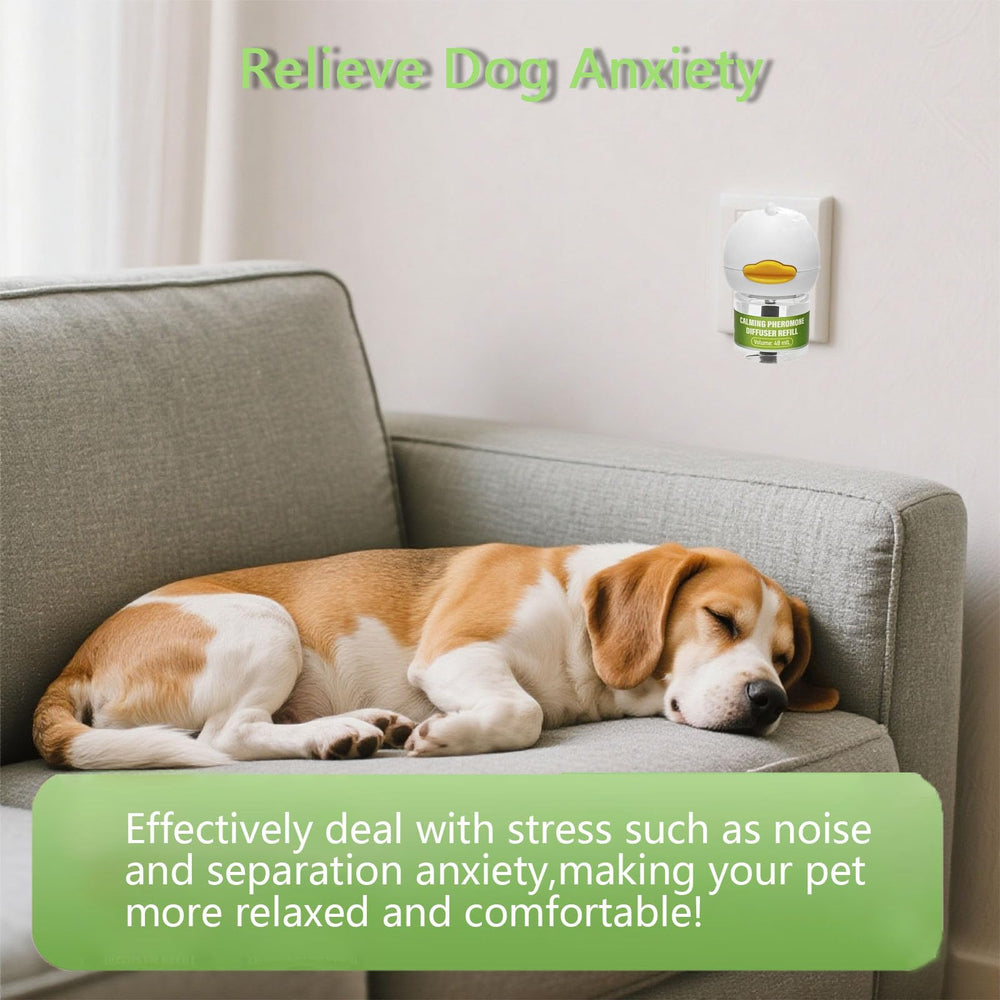 Flovintrek diffuser near a living room to soothe canine stress during thunderstorms.