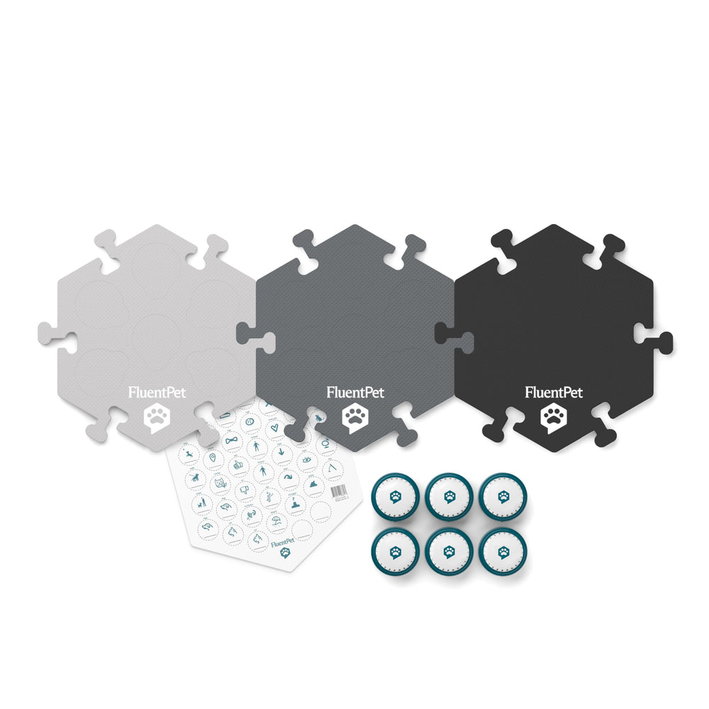 FluentPet six-buttons close-up highlighting recordable prompts for learning.