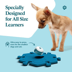 FluentPet buttons in use on HexTiles—structured setup for easy learning.