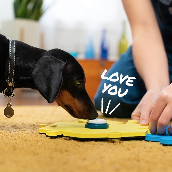 FluentPet gift-set holiday packaging for pet bonding and learning.