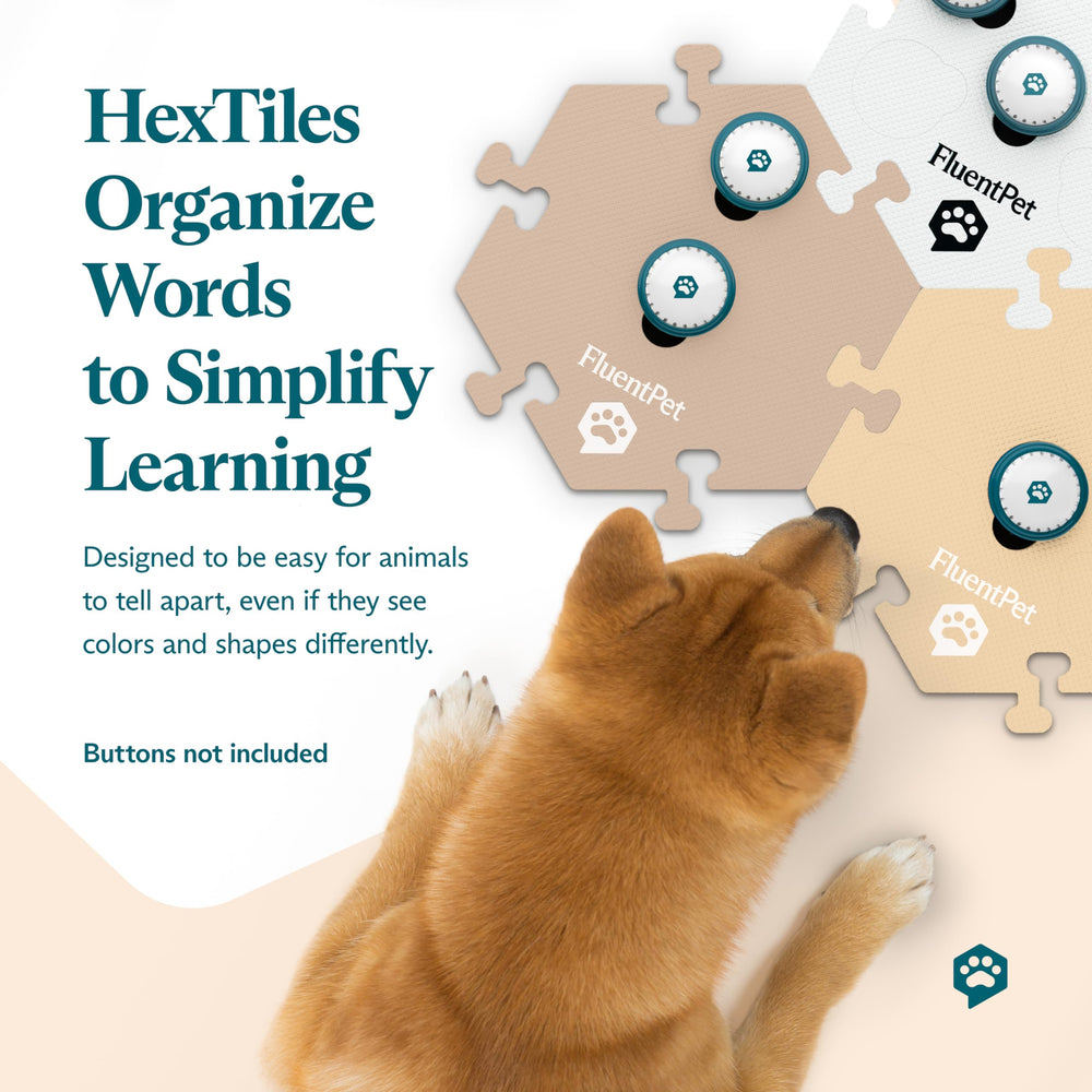 FluentPet HexTiles non-slip base focuses on stable mats during training for steady cueing.