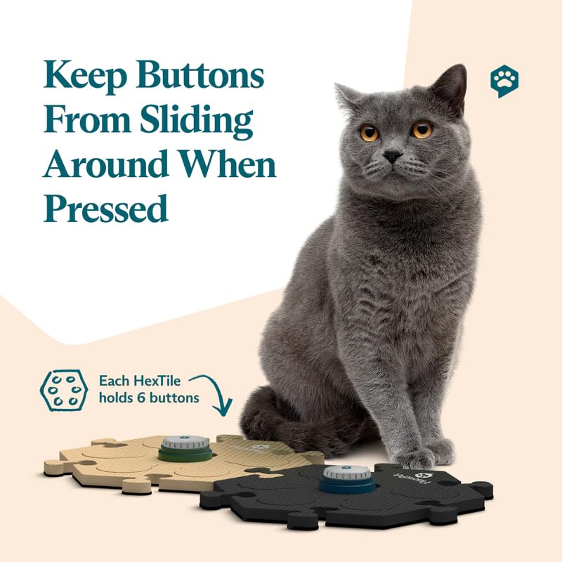 FluentPet recordable buttons offer customizable words for tailored pet communication.