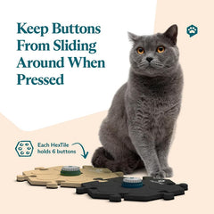 FluentPet recordable buttons offer customizable words for tailored pet communication.