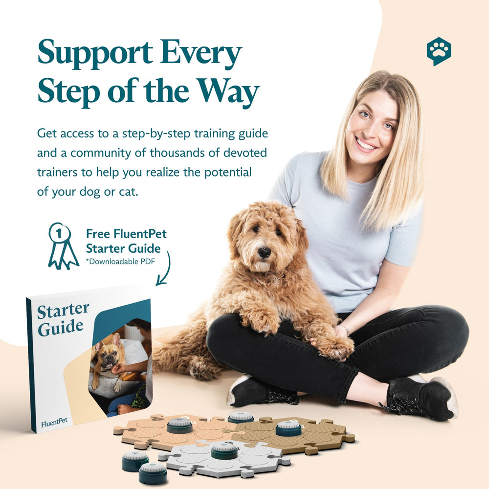 FluentPet setup and learning guide helps beginners start quickly.