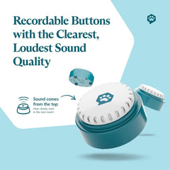 Close-up of FluentPet Speak Up button with easy 0.5 lb pressure for small pets.
