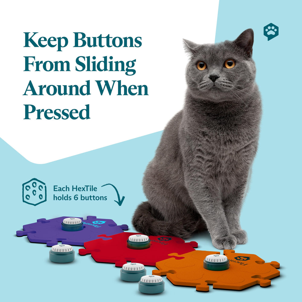 FluentPet Speak Up batteries included kit ensures instant training from unboxing.