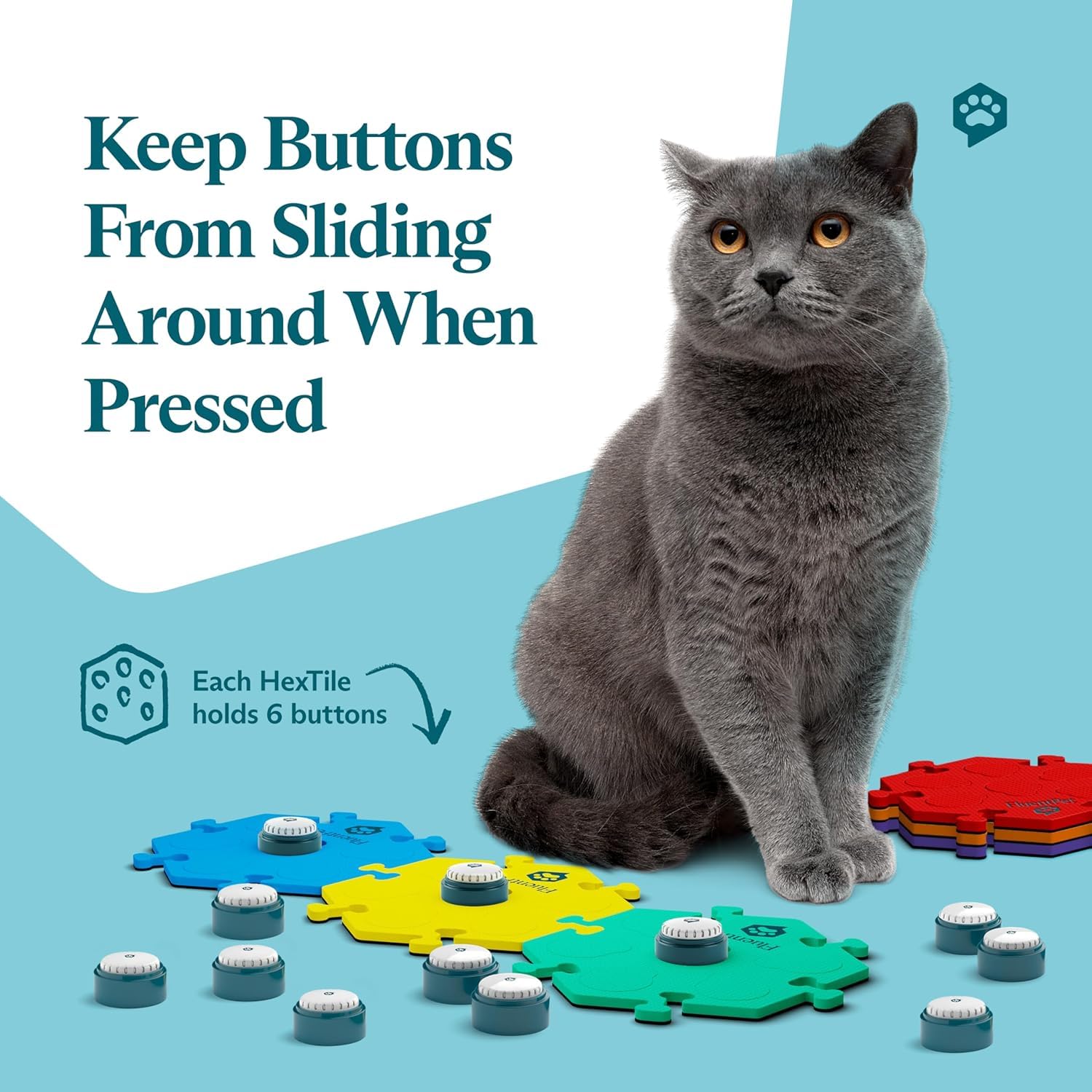 FluentPet 35 customizable stickers—label words for quick recognition.