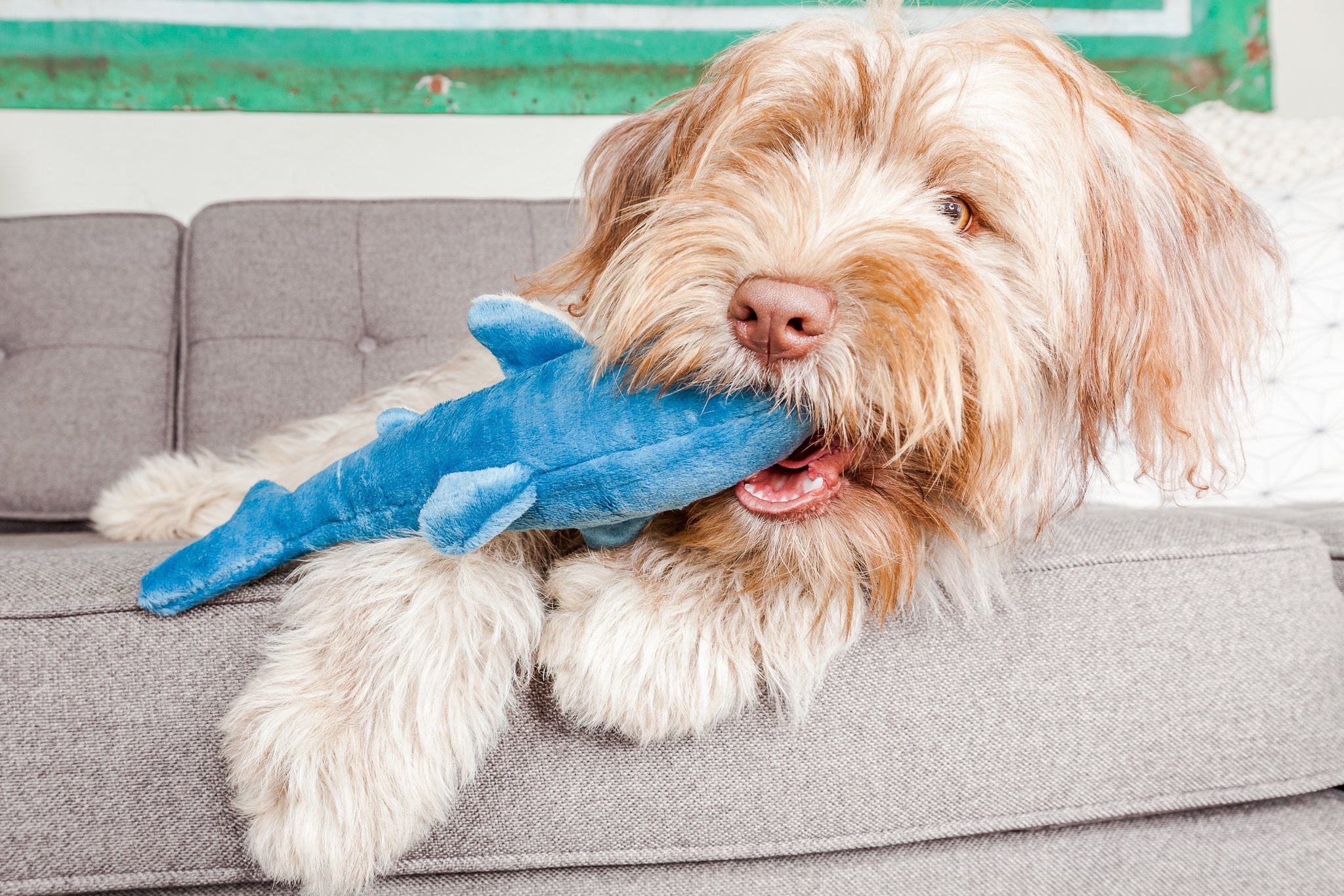 Fluff & Tuff Tank The Shark close-up highlights durable squeaker and stitched pouch