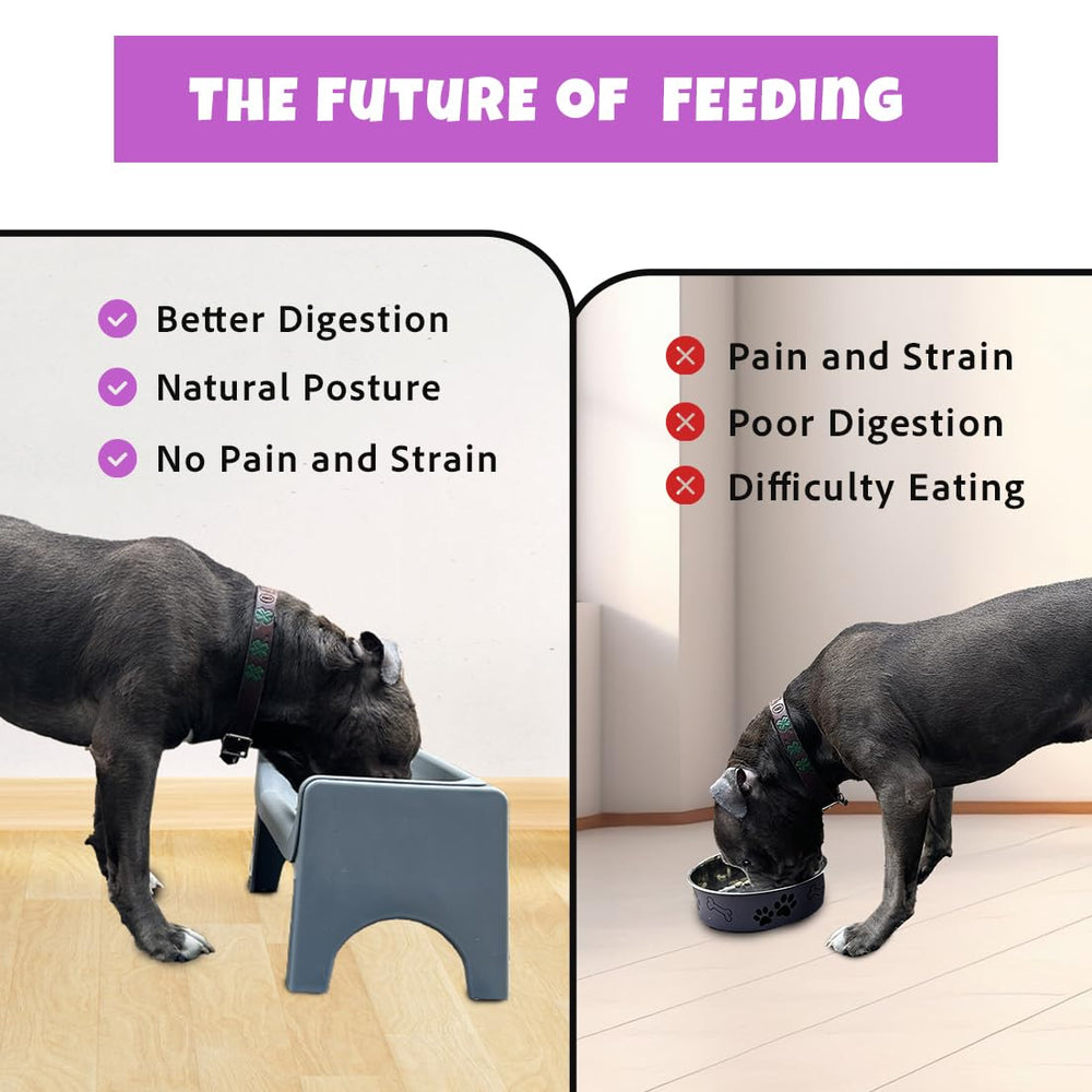 Fluff Trough cat-dog meal-time scene highlights reach-friendly design.