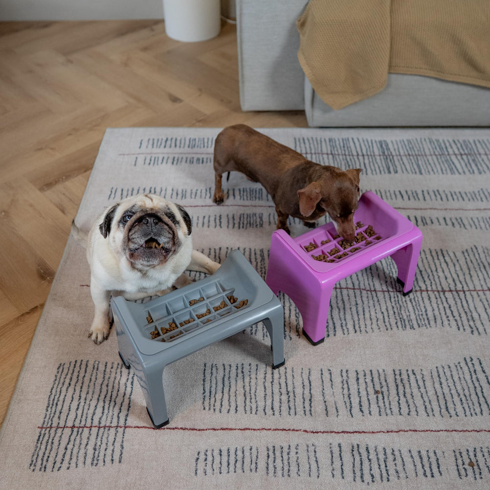 Fluff Trough puzzle cat bowl grey – interactive design to keep cats engaged during meals.