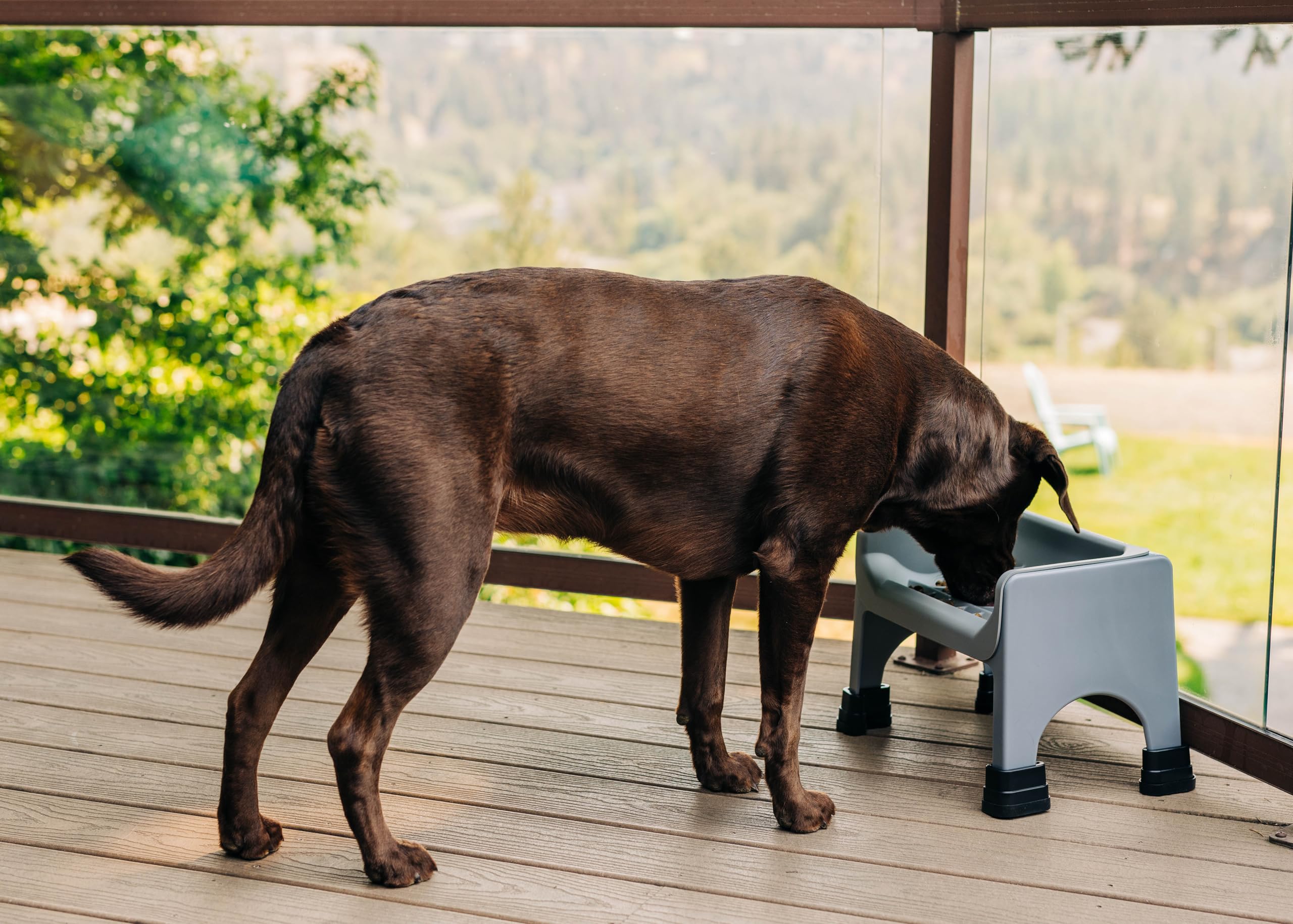Fluff Trough XL ergonomic design supports natural eating motion