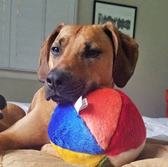 Fluff & Tuff Beach Ball side view showing durable double-stitched seams for lasting fetch.