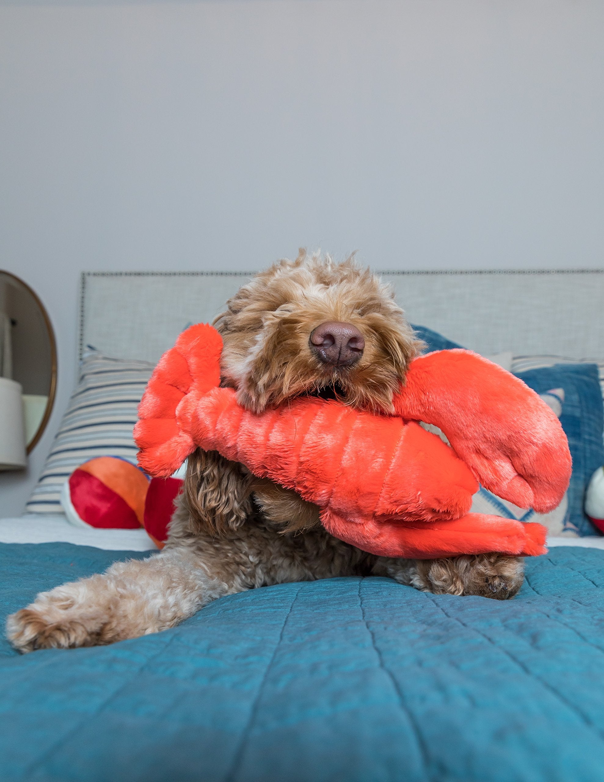 Fluff & Tuff Manny Lobster embroidered eyes offer safer plush appearance.