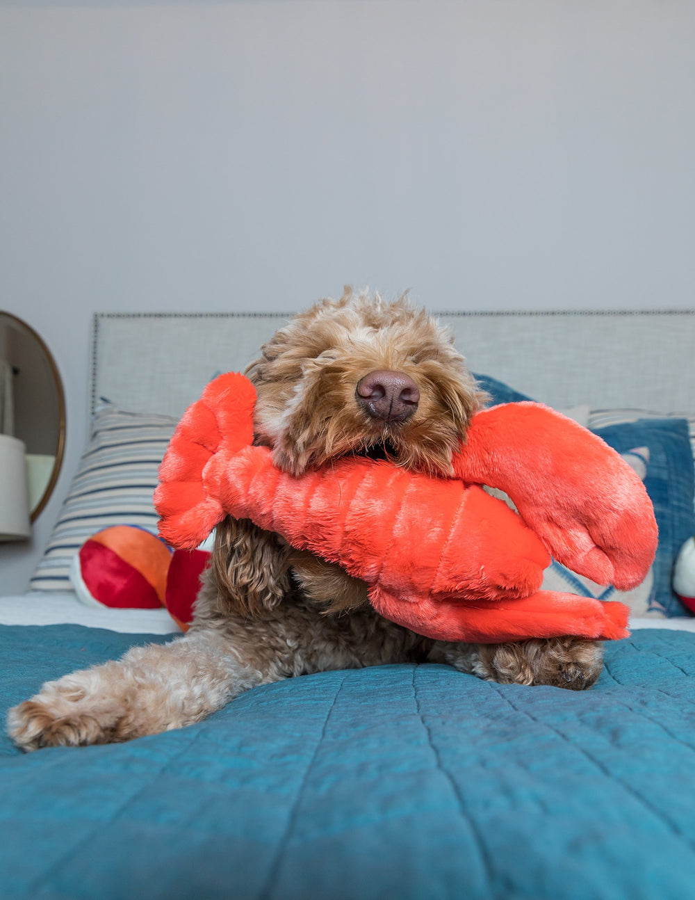 Fluff & Tuff Manny Lobster embroidered eyes offer safer plush appearance.