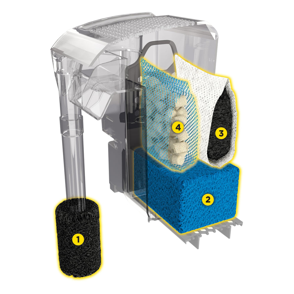 Fluval AC50 filter installation guide presents quick, confident setup tips.