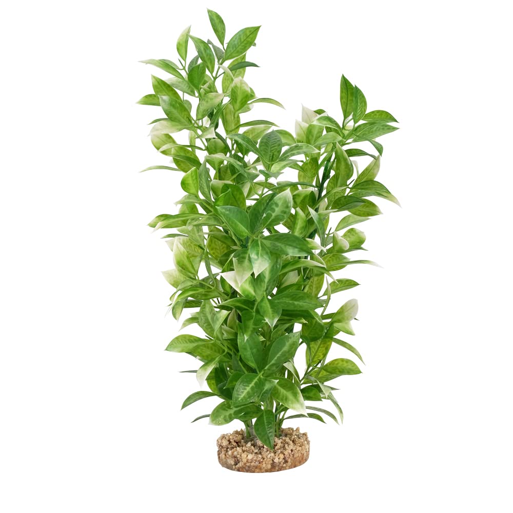 Fluval Aqualife white tipped Ludwigia plant full view offers lifelike styling and hassle-free aquascaping.